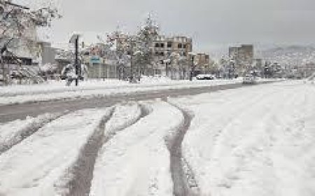 فیلم/شهروند خبرنگار:بارش برف در بخش دیشموک شهرستان کهگیلویه