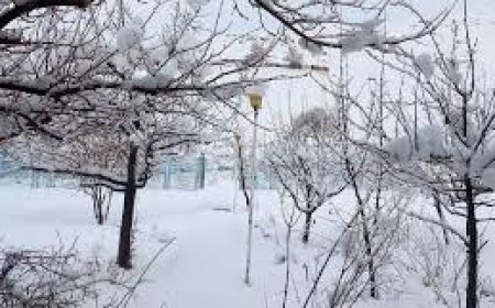 اعلام میزان بارش های اخیر در مناطق مختلف کهگیلویه و بویراحمد
