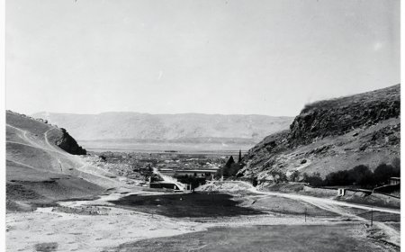 عکس| یک نمای جالب از شیراز در ۱۰۵ سال پیش