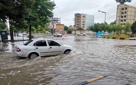 ورود سامانه بارشی به بوشهر از جمعه