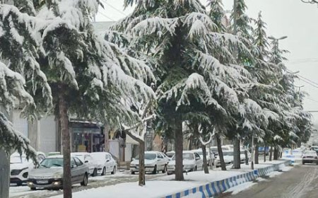 فارس از عصر امروز برفی و بارانی می‌شود