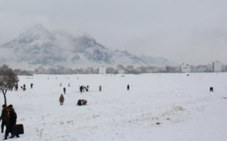 برف کوری چیست