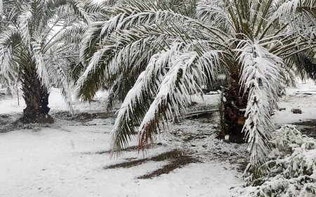 بارش برف در هفت روستای شهرستان حاجی آباد