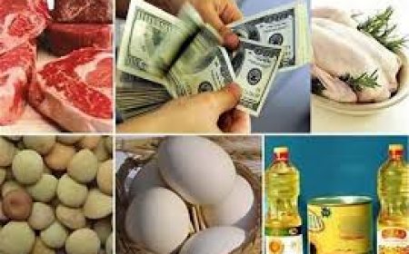 آثار حذف ارز ترجیحی نهاده های دامی