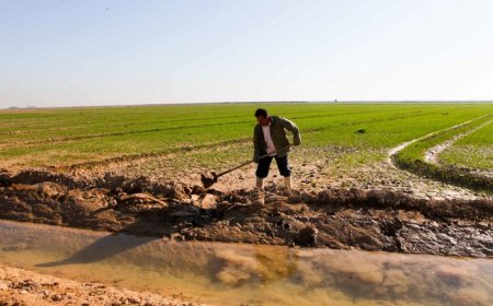 ۱۱ کشاورز خوزستانی برگزیده ملی شدند