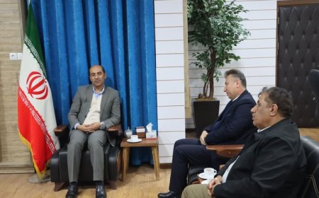 فرماندار دشتی: ۷۰۰ هکتار زمین برای نیروگاه‌های خورشیدی واگذار شد