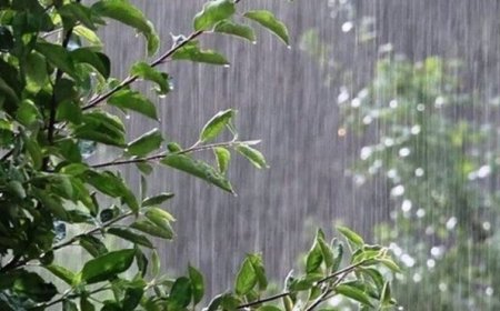 آغاز بارش باران از فردا در کهگیلویه و بویراحمد؛هشدار نارنجی صادر شد