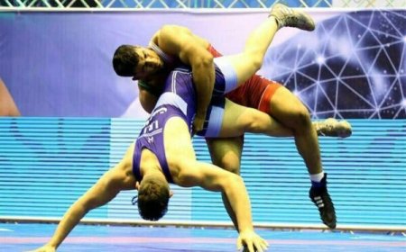 سه فرنگی‌کار فارس در مسیر جهانی کرواسی