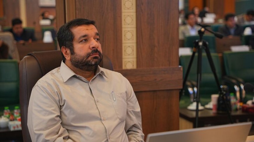 ثبت ملی درختان کهنسال شیراز برای توسعه گردشگری سبز