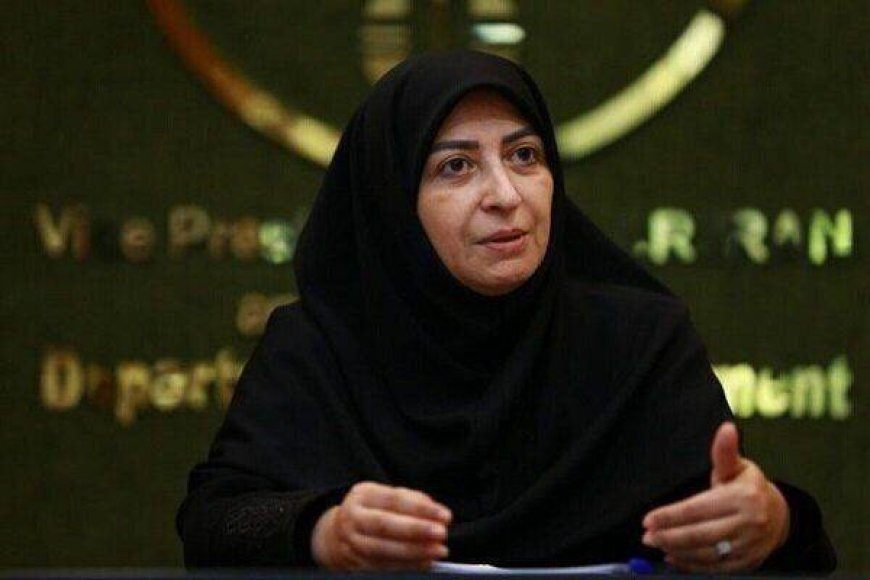 شینا انصاری وارد بندرعباس شد