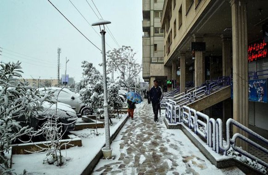 شیراز برفی شد