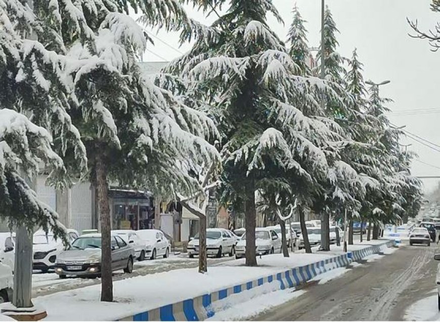 سپیدان پیشتازِ بارش باران و برف در سامانه بارشی اخیر