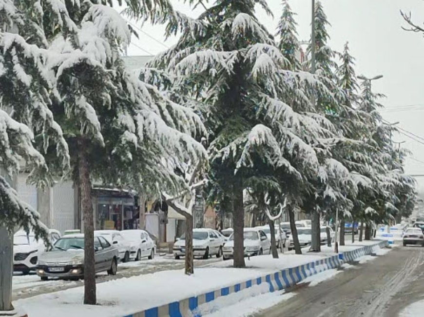 فارس از عصر امروز برفی و بارانی می‌شود