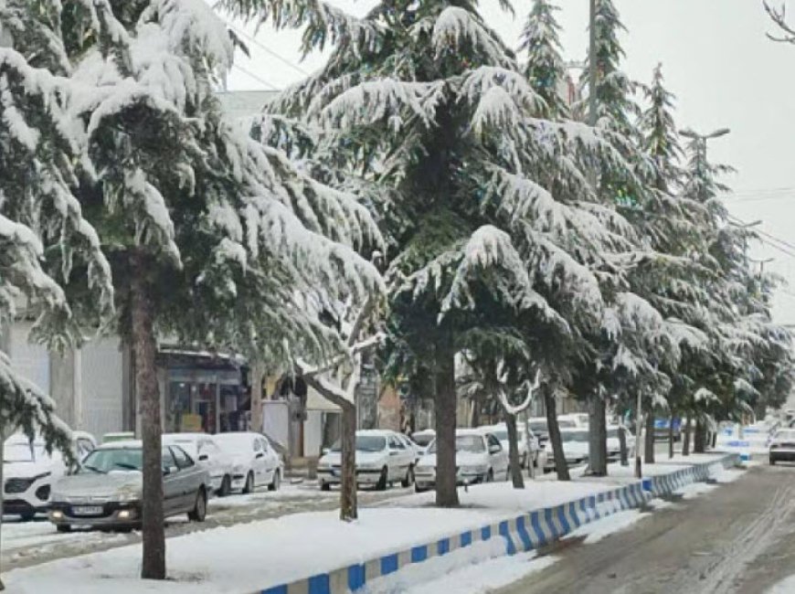 بارش برف در فارس مشکلی تاکنون ایجاد نکرده است/ از سفرهای غیرضرور بپرهیزید