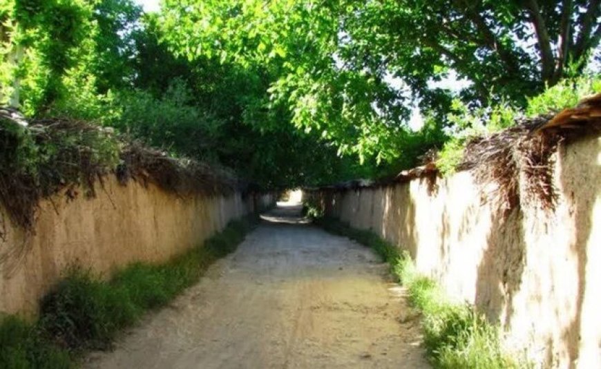 باغات شیراز قربانی تخلفات دانه‌درشت‌ها و ضعف حمایت‌های قانونی