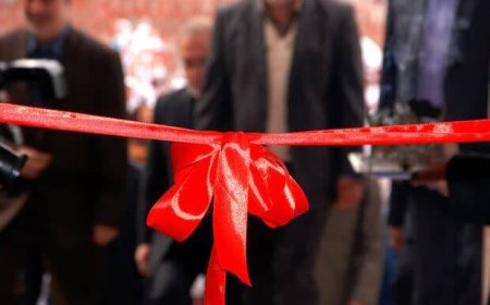 فرماندار تنگستان: قلعه رئیسعلی دلواری در دهه فجر افتتاح می شود
