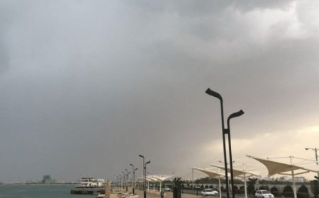 بوشهر بارانی می‌شود