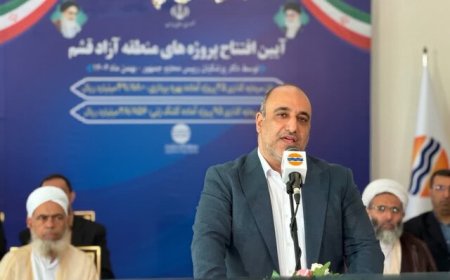 پل خلیج‌فارس ۳۰ ماهه و مشکل آب جزیره ظرف یک سال حل می‌شود