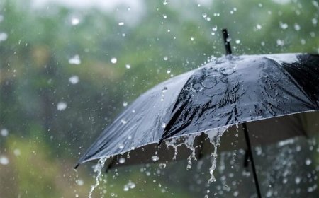 وقوع رگبار و رعدوبرق در جنوب فارس/ خطر سرمازدگی وجود ندارد