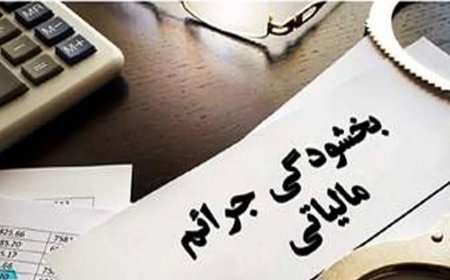 بخشودگی جرایم مالیاتی تا سقف ۷ میلیارد ریال تا ۲۸ بهمن در فارس