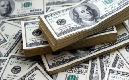 تصمیم جدید بانک مرکزی برای قیمت دلار