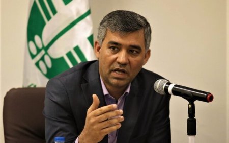 توضیح مدیرکل محیط زیست درباره بوی گاز در بندرعباس