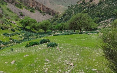 منظره زیبا منطقه پنتی - ایذه