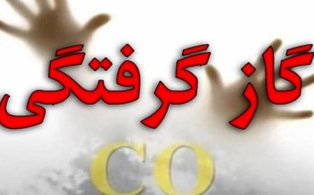افزایش ۵۰ درصدی مرگ‌های ناشی از گازگرفتگی در خوزستان طی نه‌ماهه ۱۴۰۴