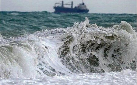 ماندگاری ۵ساله آلودگی در خلیج فارس/پژوهشگاه اقیانوس‌شناسی سازوکار علمی حفاظت را خواستار شد