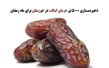 وضعیت صنعت خرما در خوزستان
