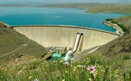 ذخیره آب مفید سدهای فارس افزایش یافت