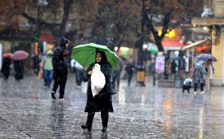 پیش بینی بارش پراکنده باران در استان بوشهر