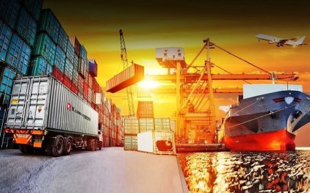 مدیرکل گمرک بوشهر: بیشترین صادرات گمرکات استان به چین و امارات است