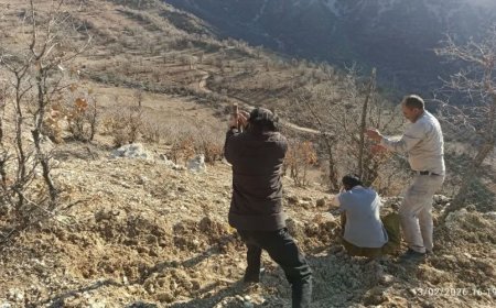 آزادی  ۵۸هزار متر مربع زمین ملی در کهگیلویه و بویراحمد از تصرف سودجویان