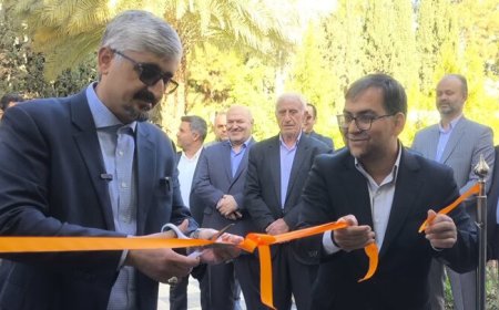 «فارس» استان پایلوت نظارت هوشمند بر بازار کالاهای اساسی شد