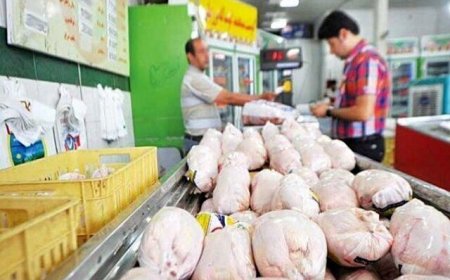 قیمت مرغ | ۲ اسفند ۱۴۰۴