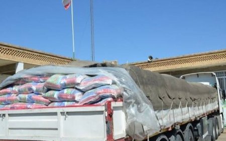 ۱۲ تُن برنج قاچاق در شیراز کشف شد