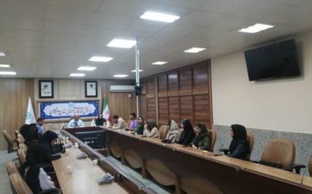 از شعرخوانی تا نقاشی؛ کتابخانه اندیشه بندرعباس میزبان برنامه‌های فرهنگی هنری