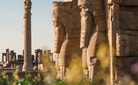 فیلم/نمایی زیبا از تخت جمشید و کاخ تچر