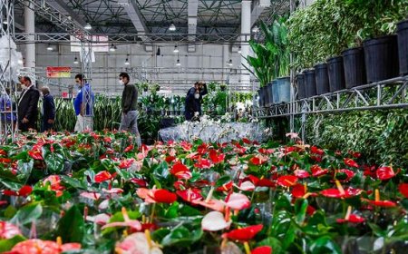برگزاری نمایشگاه گل و گیاه در جزیره کیش
