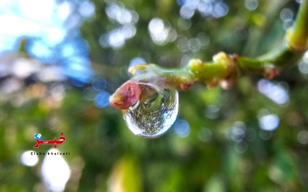 تداوم بارندگی‌ها تا فردا شب در فارس