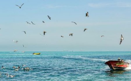 هواشناسی برای بوشهر هشدار زرد و نارنجی صادر کرد