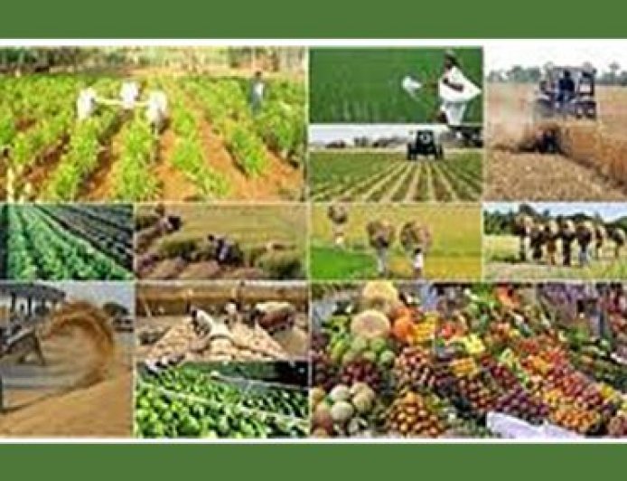 نقش صنایع تبدیلی در کاهش ضایعات محصولات کشاورزی