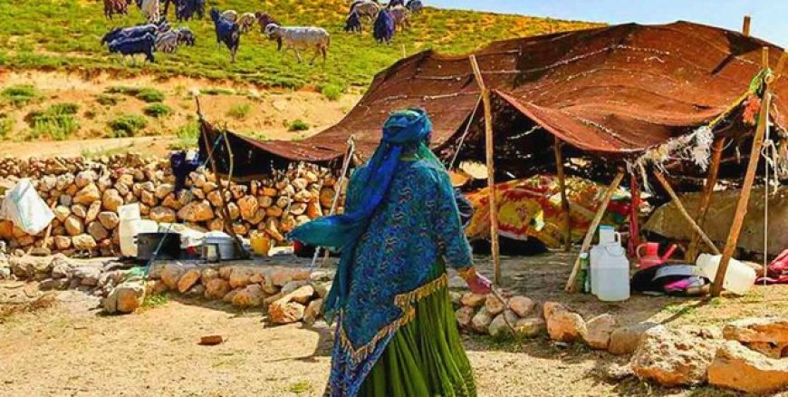 ۱۲هزار خانوارعشایری کهگیلویه‌وبویراحمد نیازمند علوفه دام و پنل خورشیدی