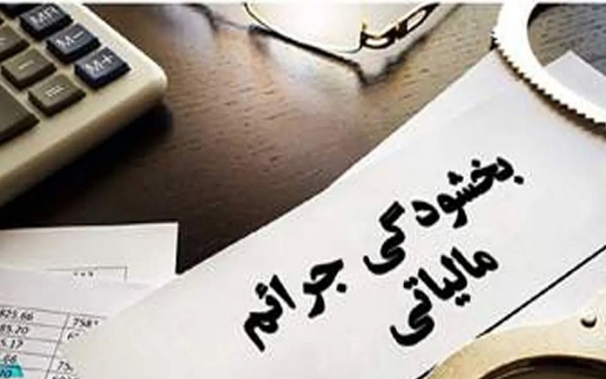 بخشودگی جرایم مالیاتی تا سقف ۷ میلیارد ریال تا ۲۸ بهمن در فارس