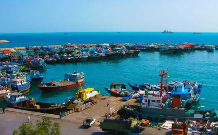 مدیرکل گمرک بندرلنگه: ترخیص کالاهای اساسی تسهیل شد