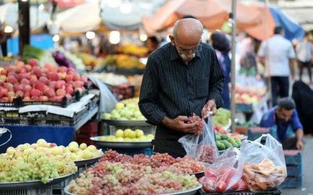 سبد میوه و تره بار شیراز پر است