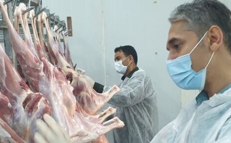 کشتارگاه‌های دام و طیور استان بوشهر