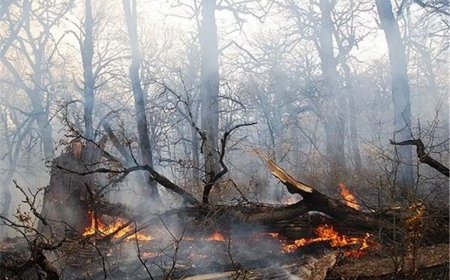 آتش سوزی پارک ملی دز مهار شد