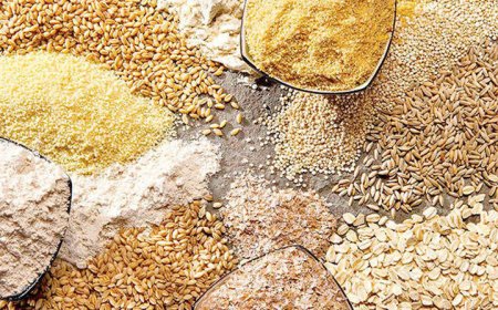 توزیع بیش از ۱۴۲ هزار تن نهاده دامی در فارس